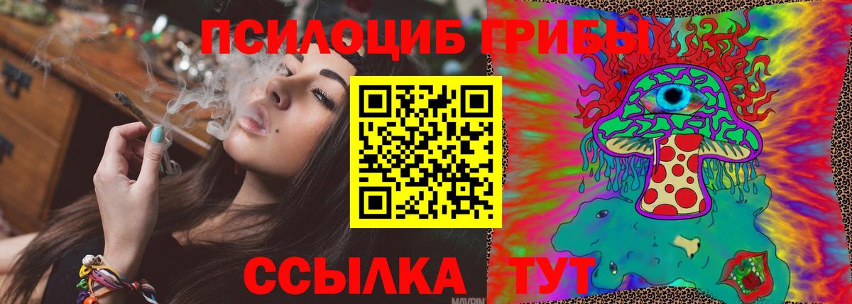 Галлюциногенные грибы GOLDEN TEACHER  Галлюциногенные грибы ЛСД  Вход с VPN  купить наркотики сайты  Клинцы 